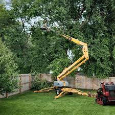 Best Arborist Consultation Services  in Piney Mountain, VA